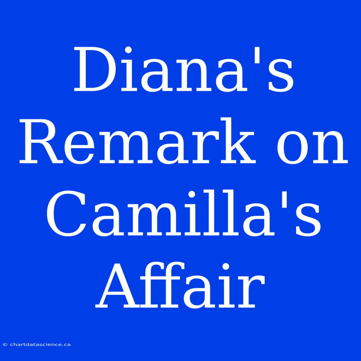 Diana's Remark On Camilla's Affair