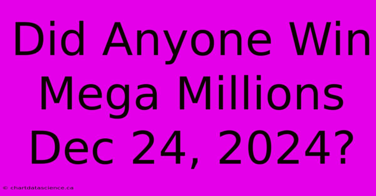 Did Anyone Win Mega Millions Dec 24, 2024?