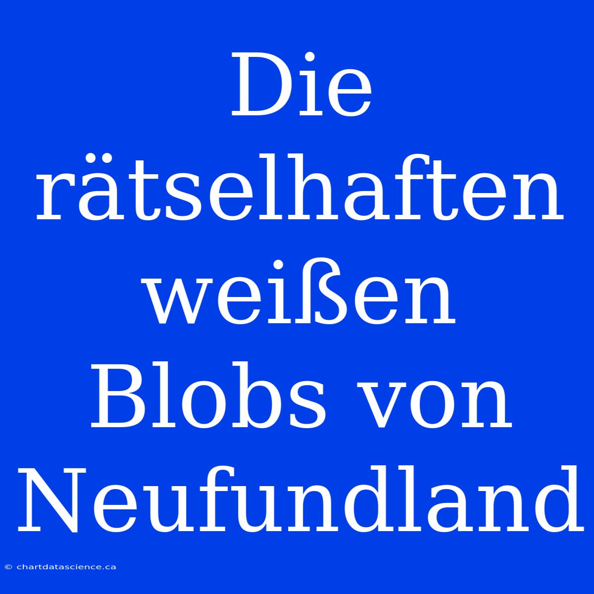 Die Rätselhaften Weißen Blobs Von Neufundland