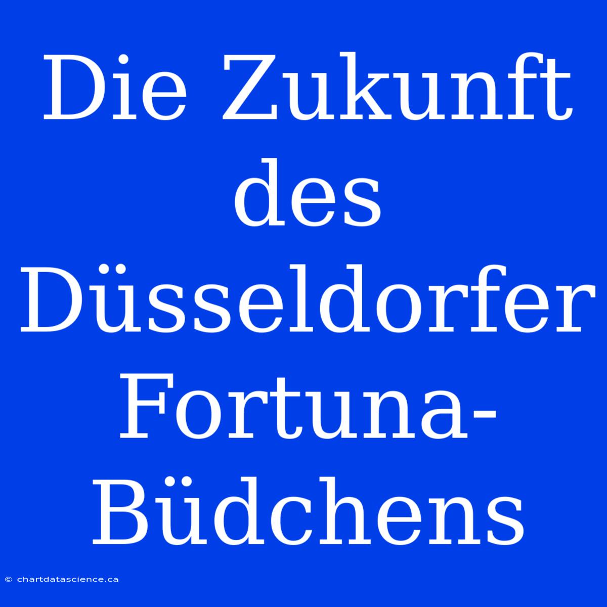 Die Zukunft Des Düsseldorfer Fortuna-Büdchens