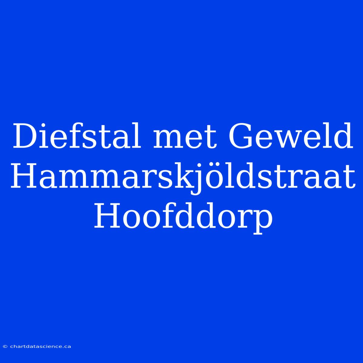 Diefstal Met Geweld Hammarskjöldstraat Hoofddorp