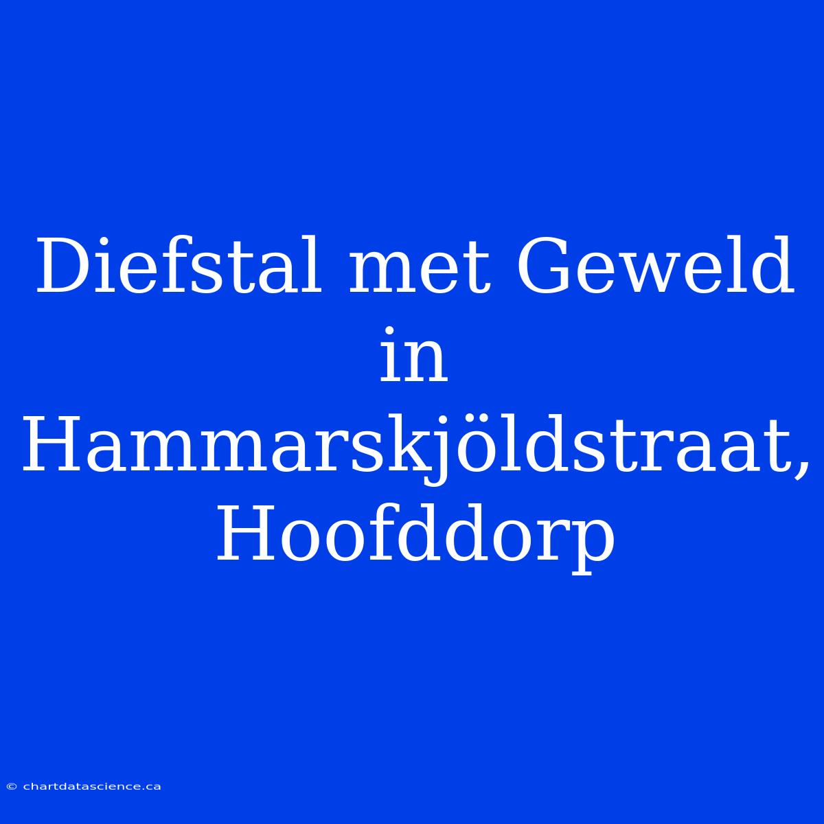 Diefstal Met Geweld In Hammarskjöldstraat, Hoofddorp