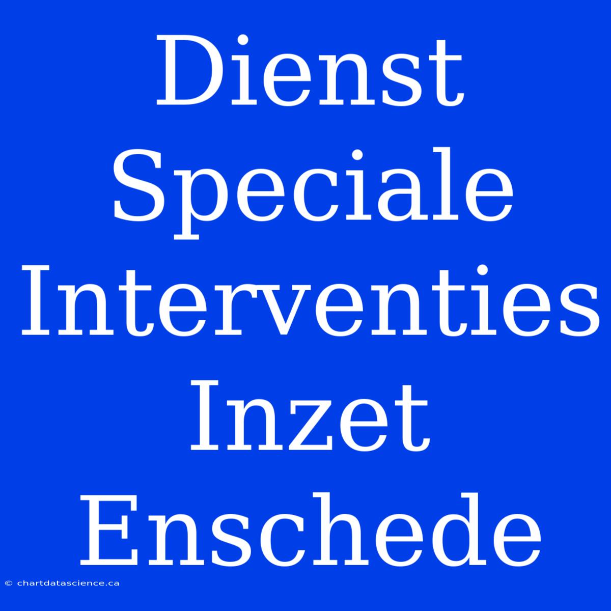 Dienst Speciale Interventies Inzet Enschede