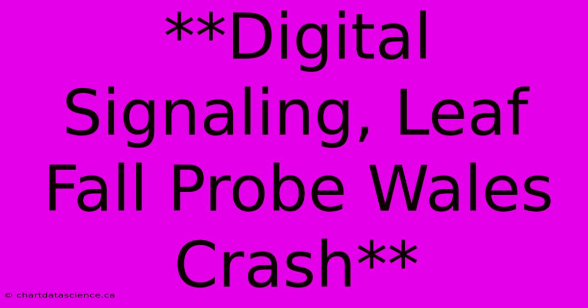 **Digital Signaling, Leaf Fall Probe Wales Crash**