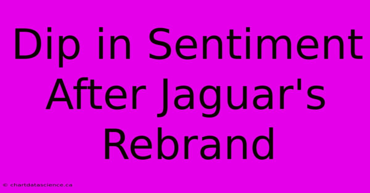 Dip In Sentiment After Jaguar's Rebrand