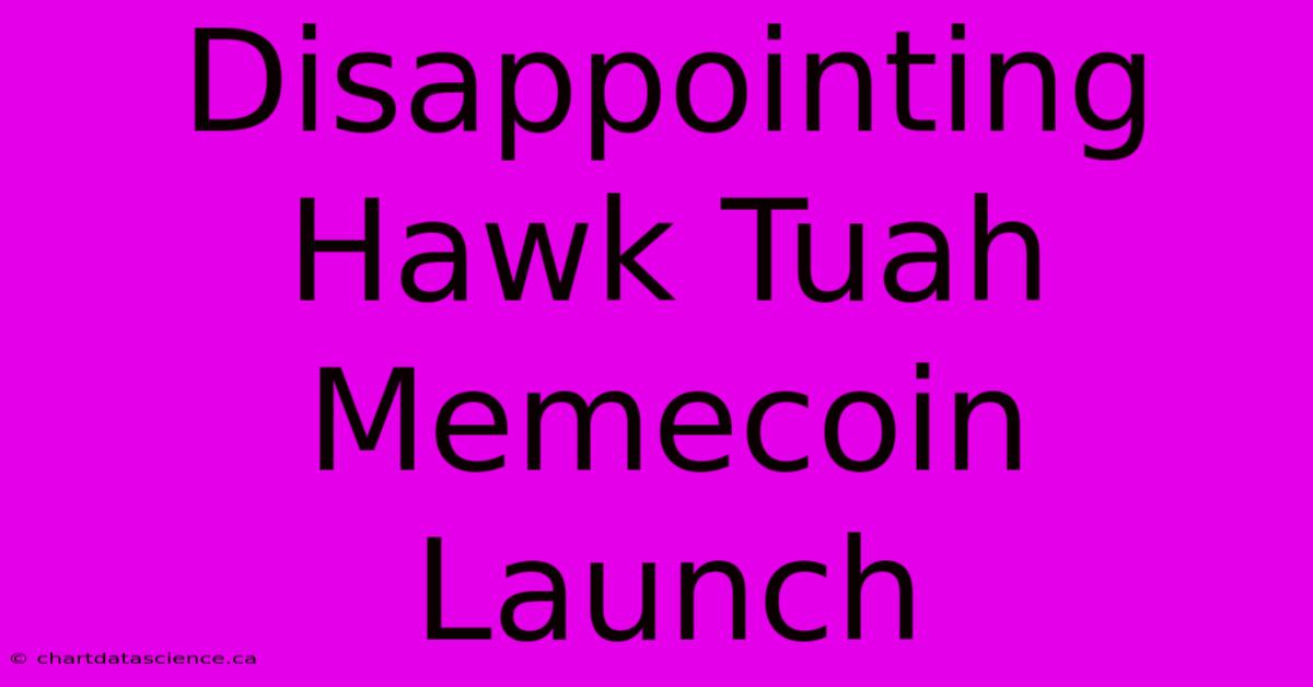 Disappointing Hawk Tuah Memecoin Launch