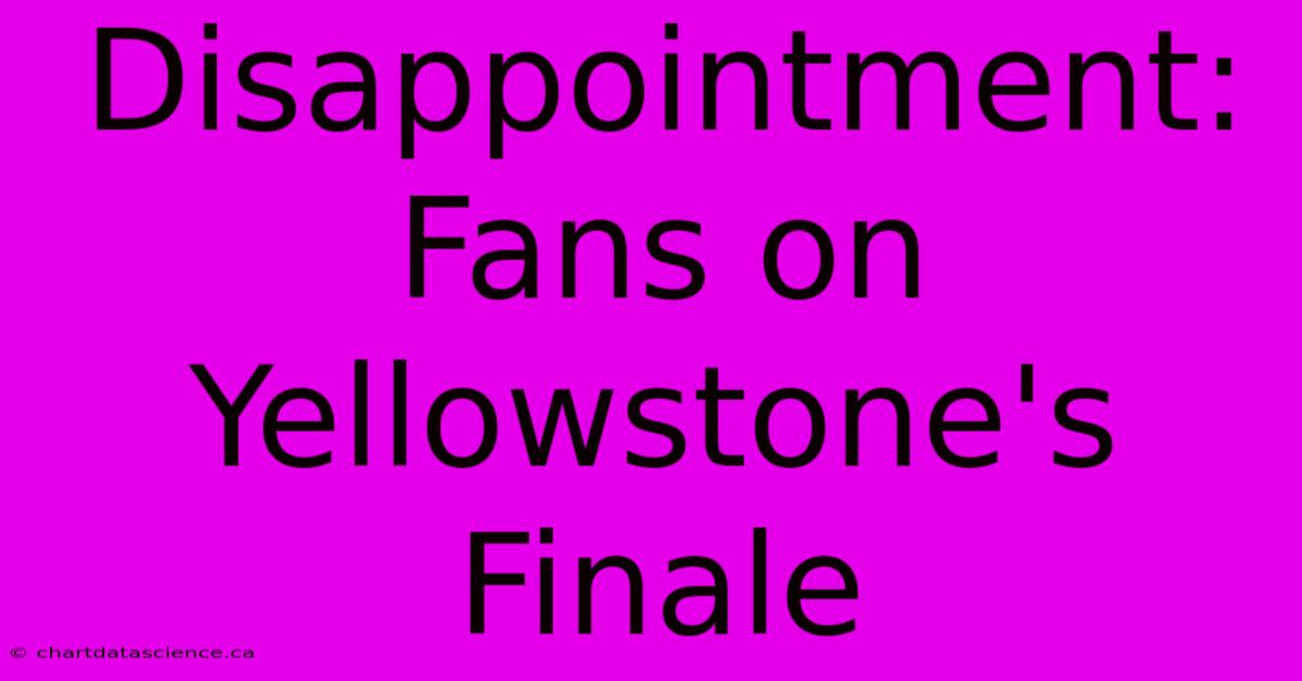 Disappointment: Fans On Yellowstone's Finale