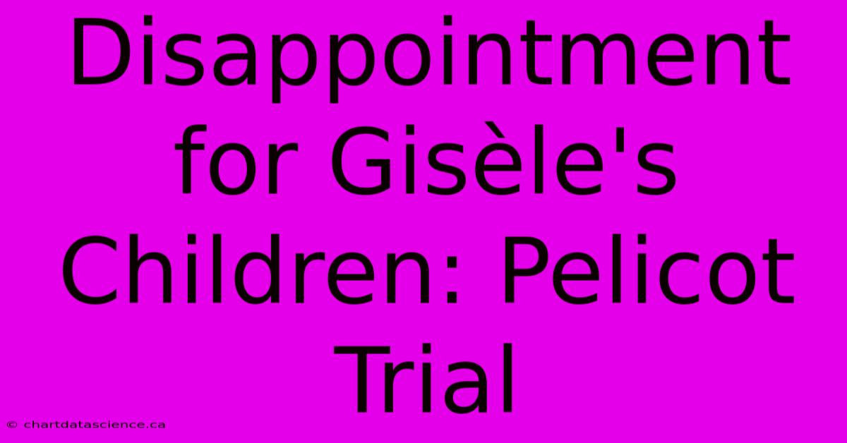 Disappointment For Gisèle's Children: Pelicot Trial