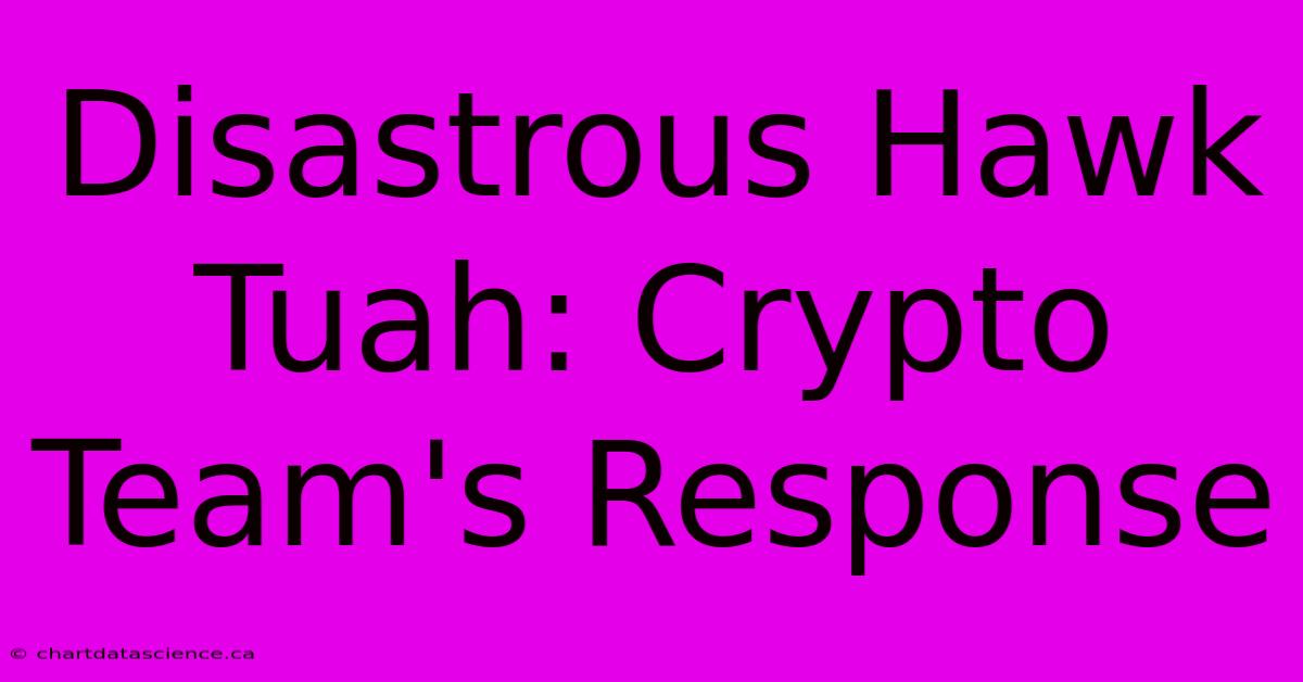 Disastrous Hawk Tuah: Crypto Team's Response