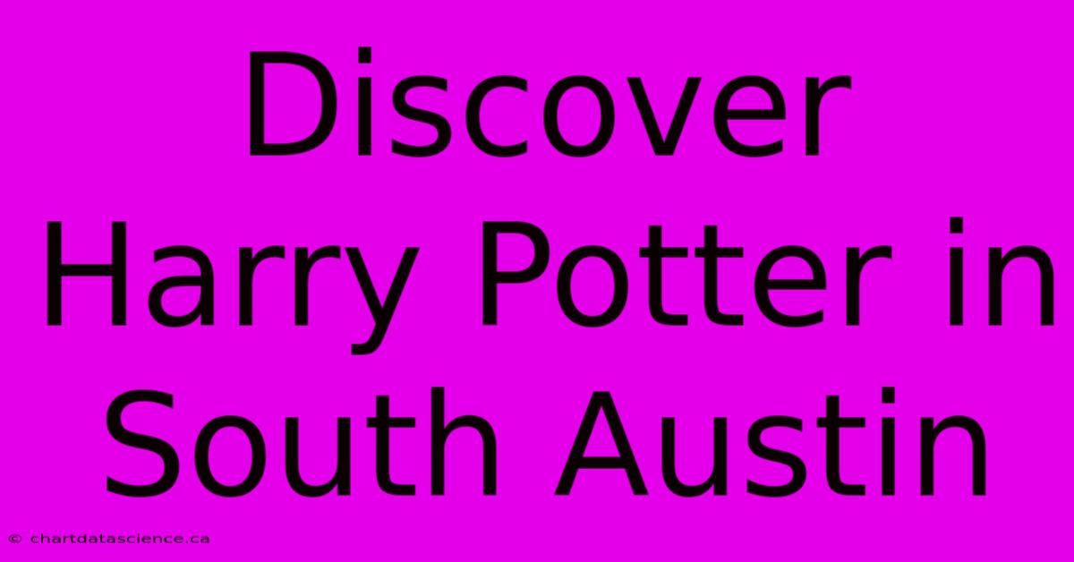 Discover Harry Potter In South Austin