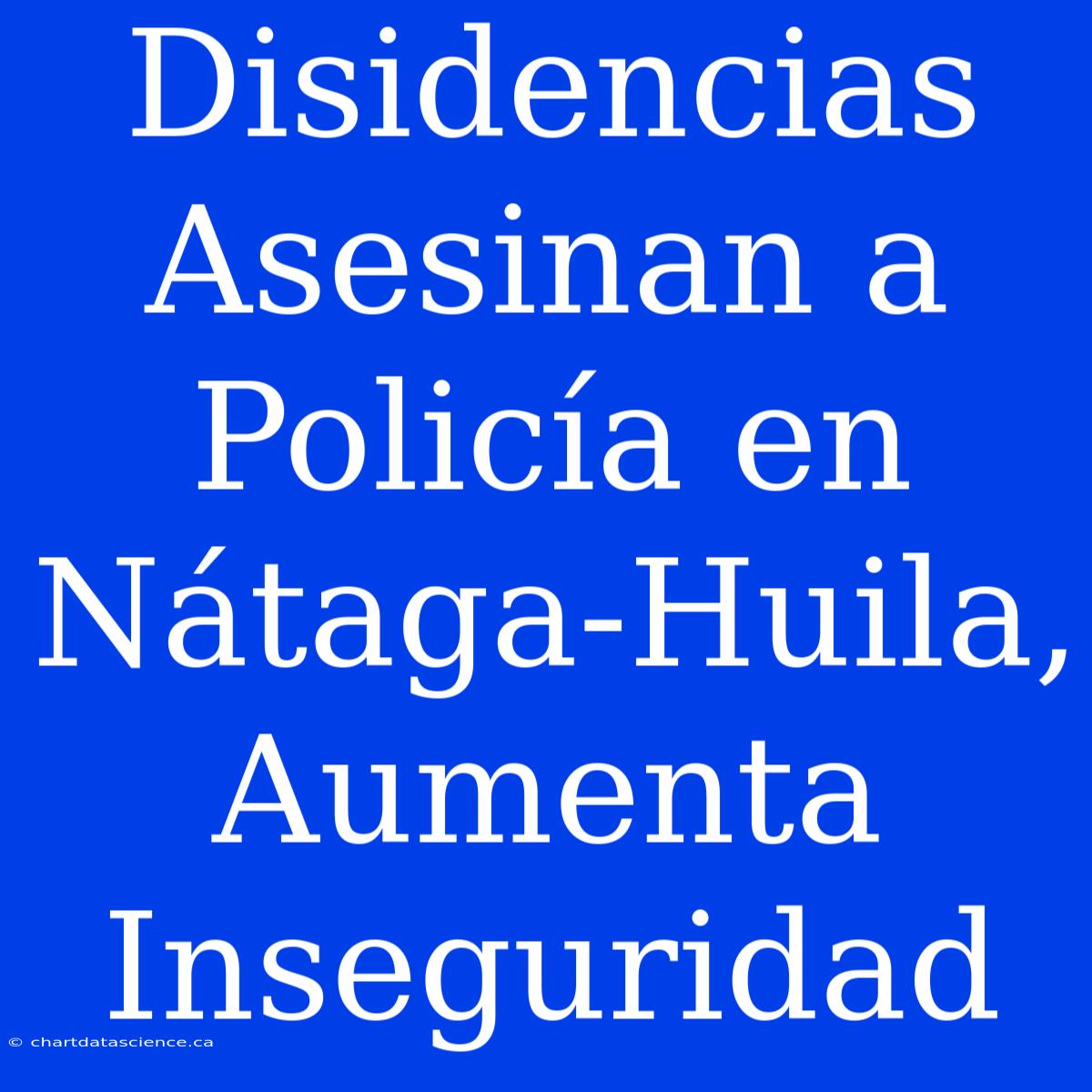 Disidencias Asesinan A Policía En Nátaga-Huila, Aumenta Inseguridad