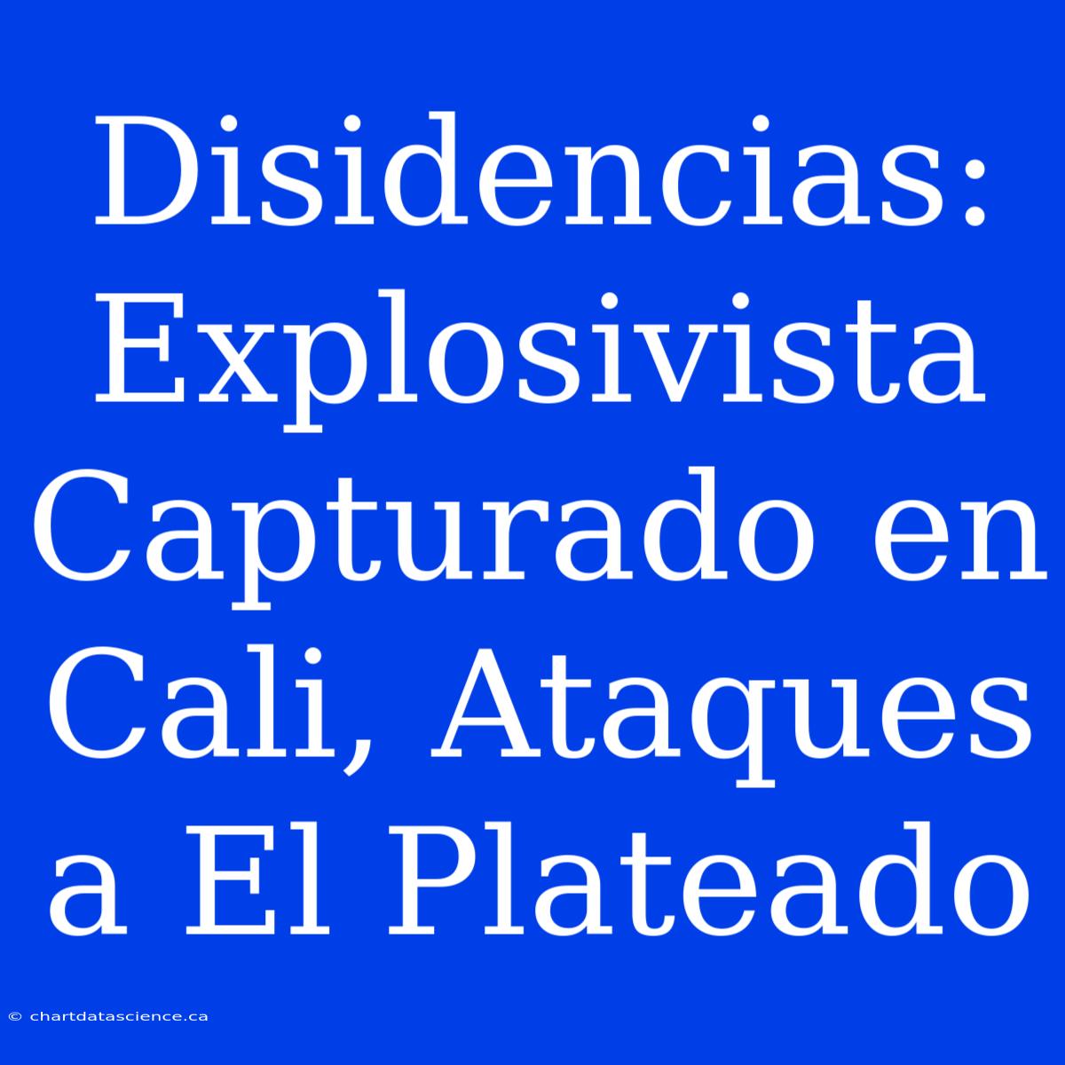 Disidencias: Explosivista Capturado En Cali, Ataques A El Plateado