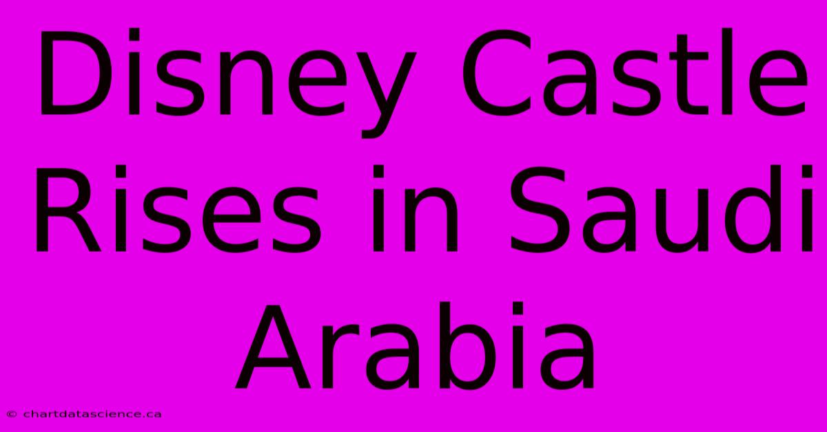 Disney Castle Rises In Saudi Arabia