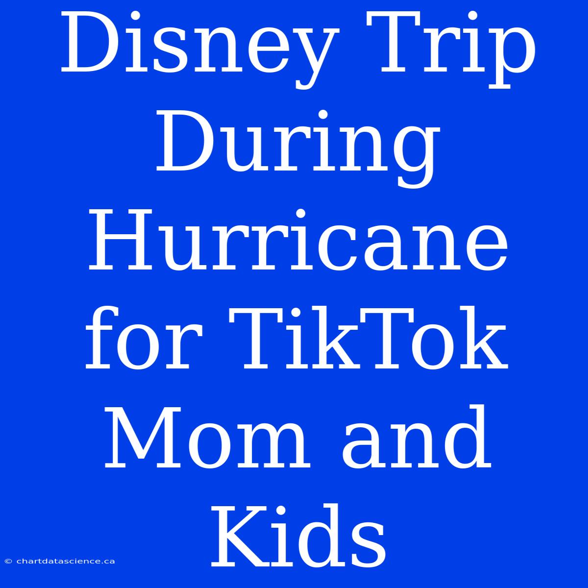 Disney Trip During Hurricane For TikTok Mom And Kids