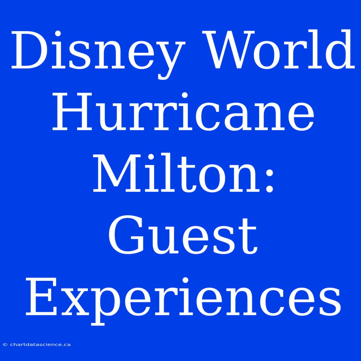 Disney World Hurricane Milton: Guest Experiences