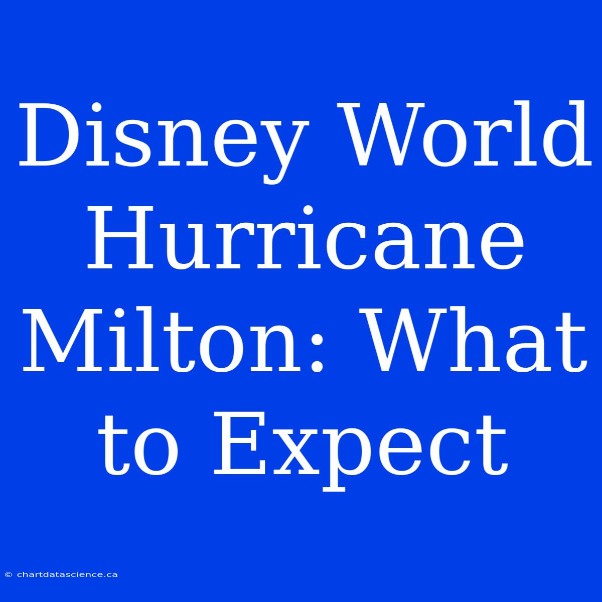 Disney World Hurricane Milton: What To Expect