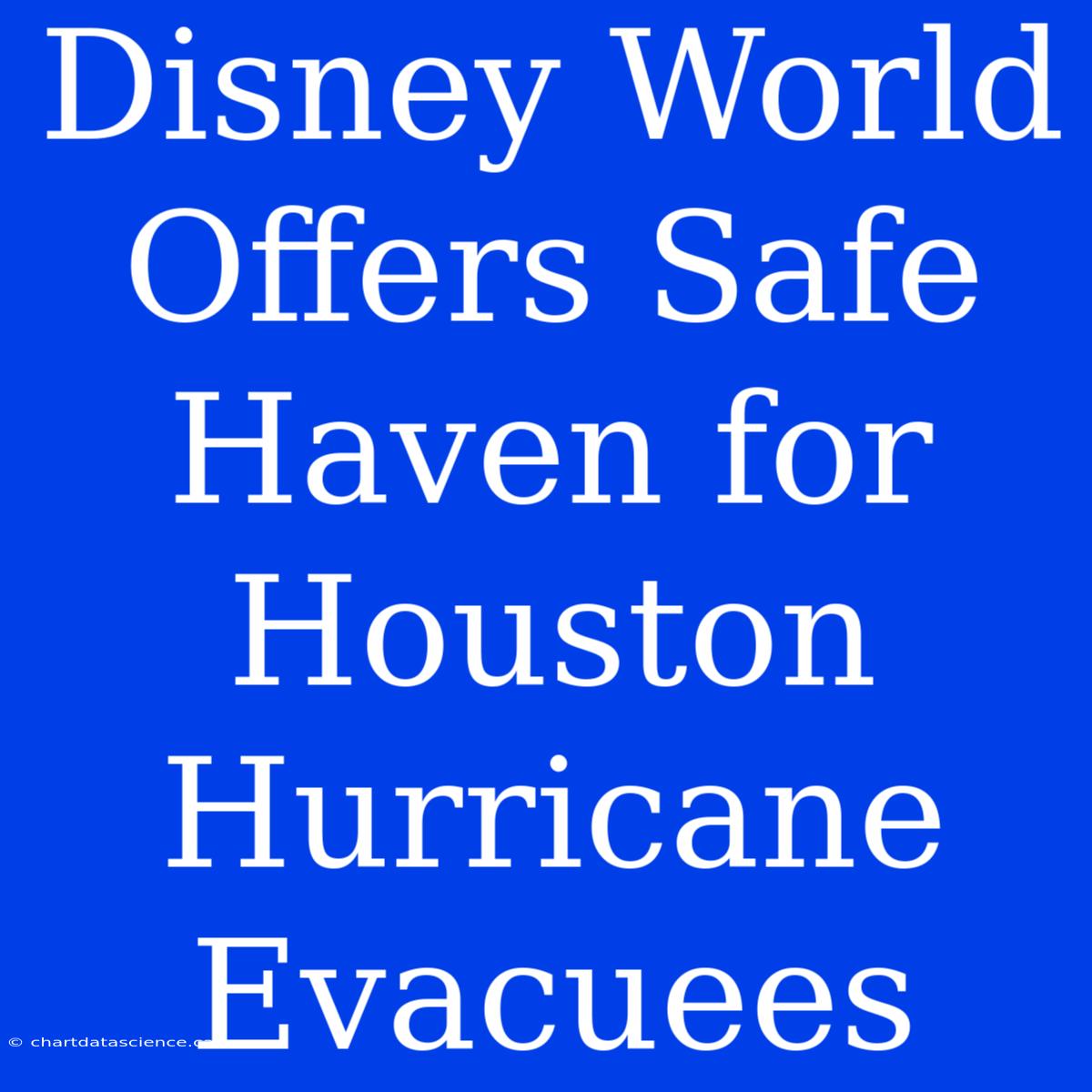 Disney World Offers Safe Haven For Houston Hurricane Evacuees