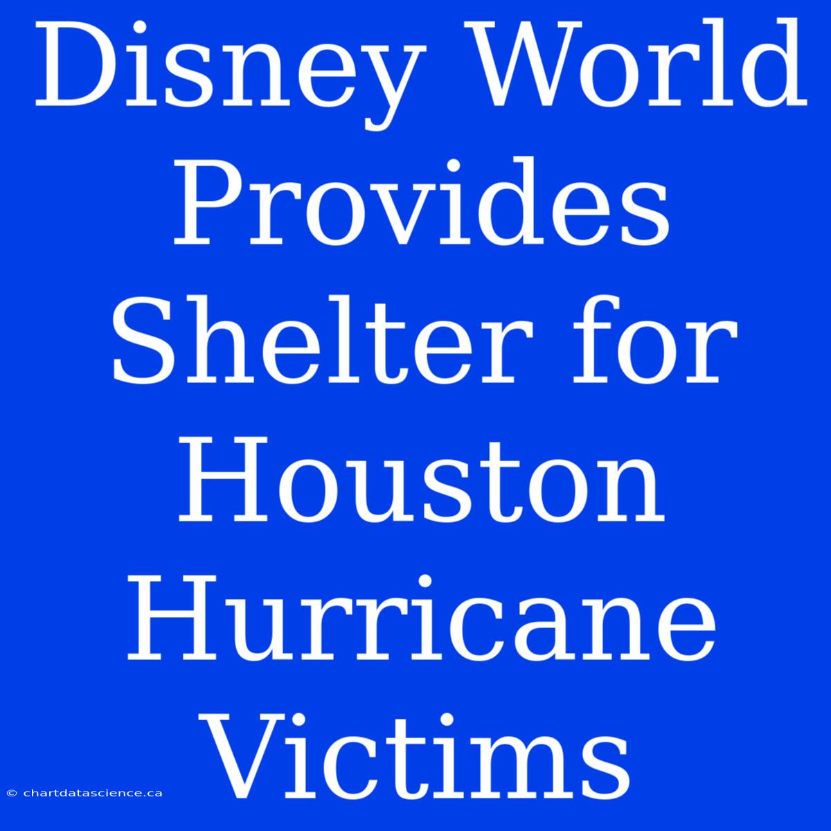 Disney World Provides Shelter For Houston Hurricane Victims