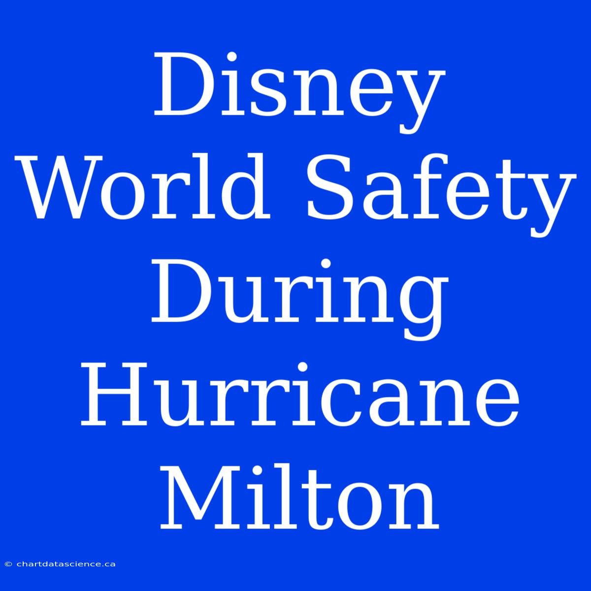 Disney World Safety During Hurricane Milton