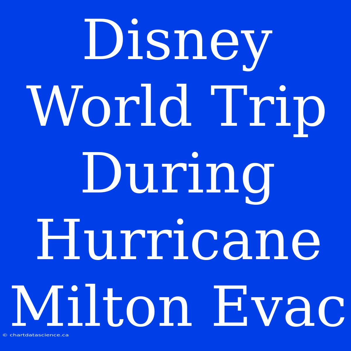 Disney World Trip During Hurricane Milton Evac