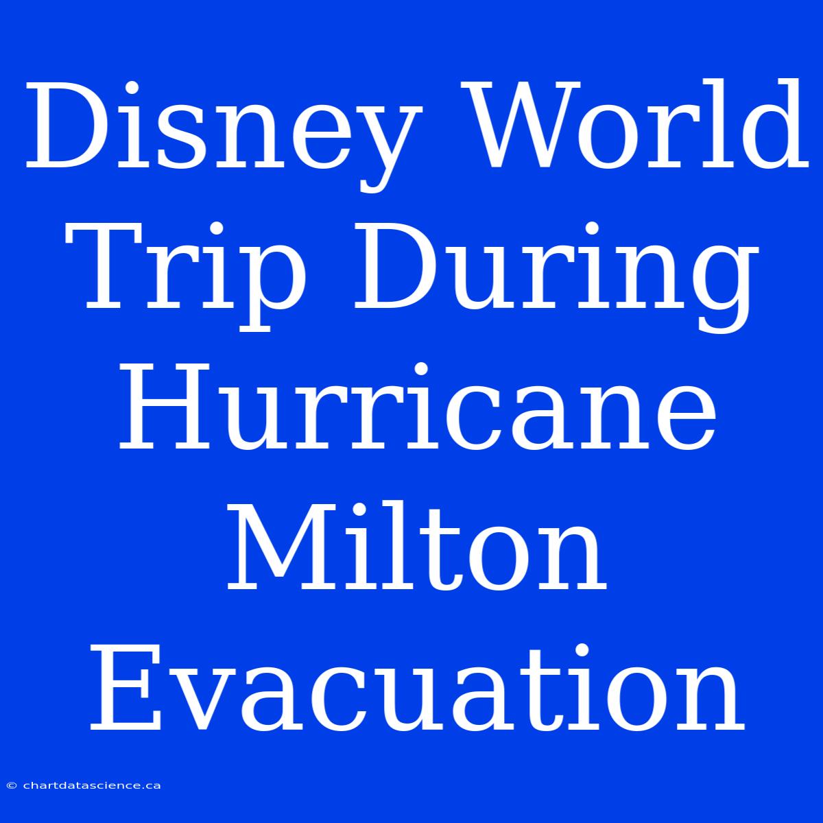 Disney World Trip During Hurricane Milton Evacuation