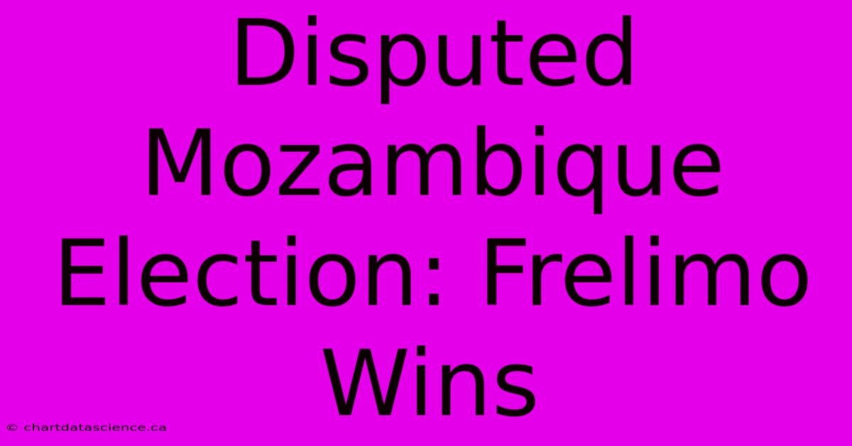 Disputed Mozambique Election: Frelimo Wins