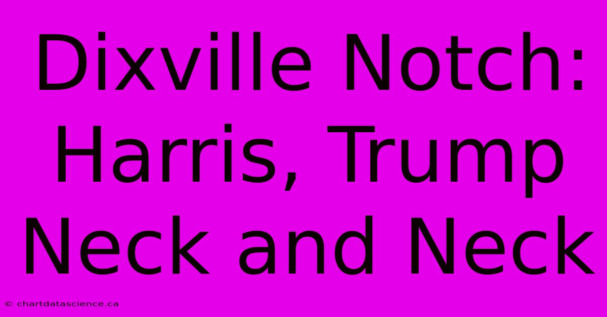 Dixville Notch: Harris, Trump Neck And Neck