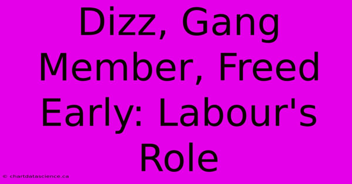 Dizz, Gang Member, Freed Early: Labour's Role