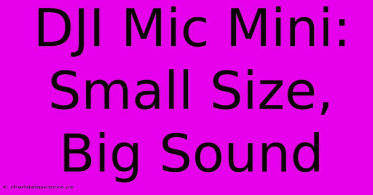 DJI Mic Mini: Small Size, Big Sound