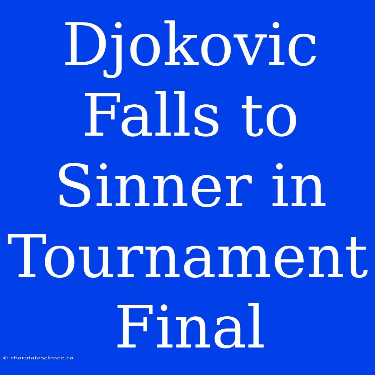 Djokovic Falls To Sinner In Tournament Final