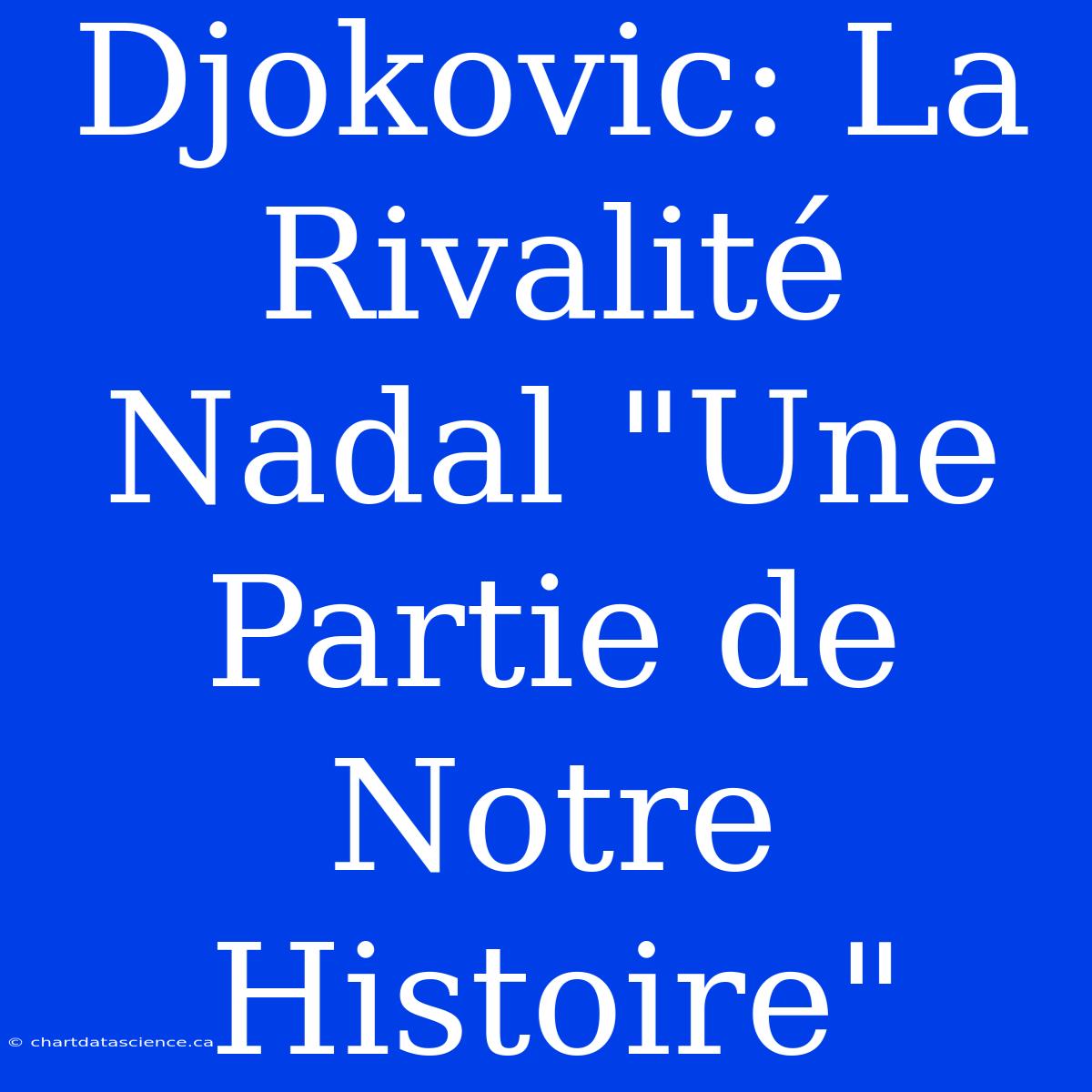 Djokovic: La Rivalité Nadal 