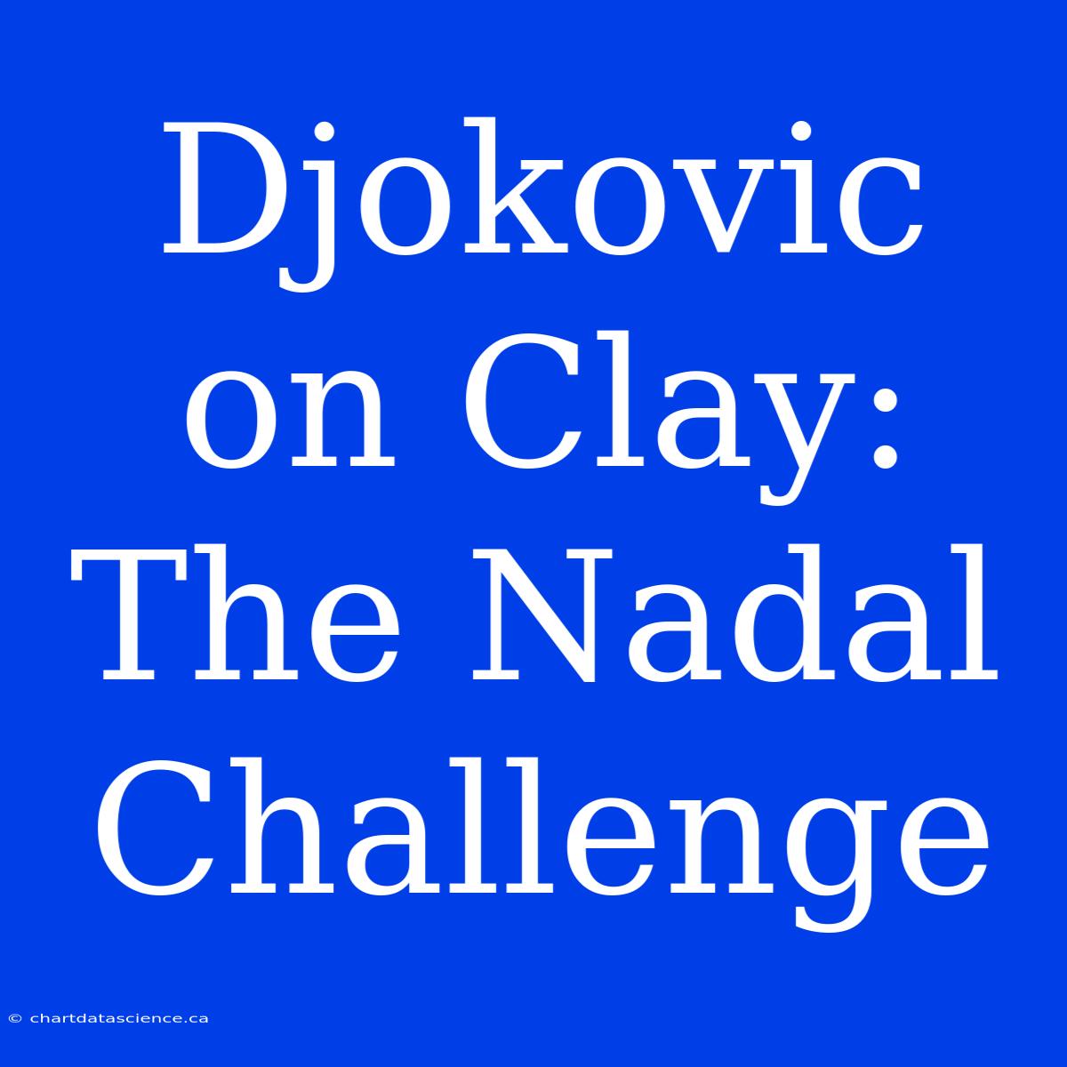 Djokovic On Clay: The Nadal Challenge