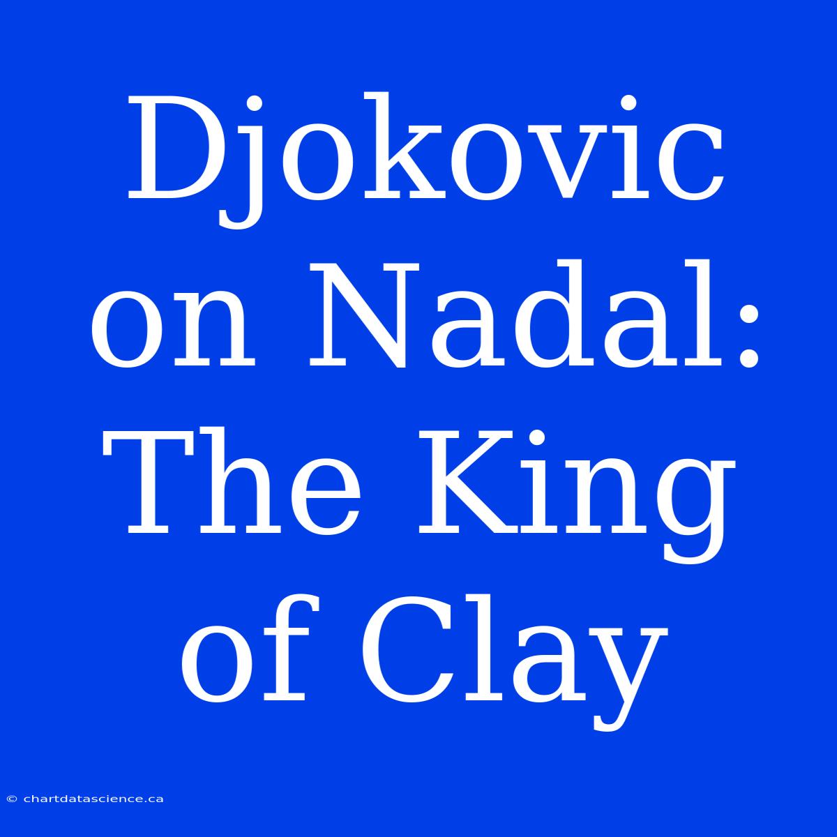 Djokovic On Nadal: The King Of Clay