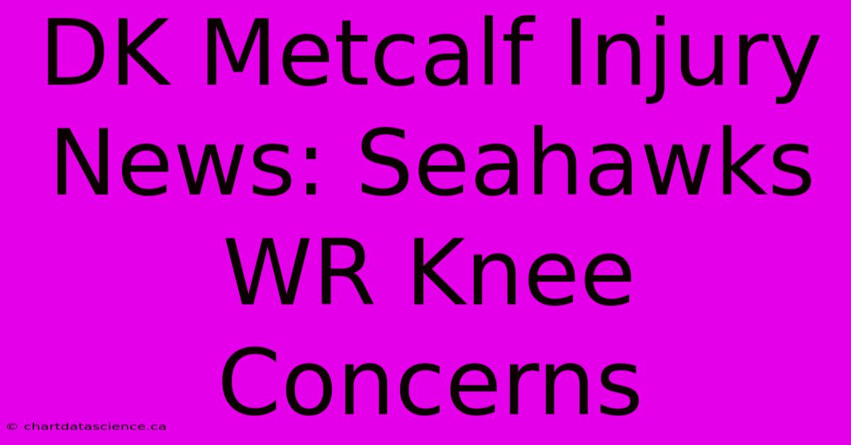 DK Metcalf Injury News: Seahawks WR Knee Concerns