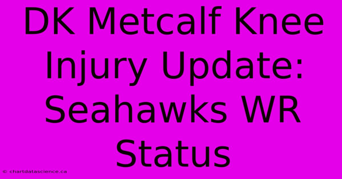 DK Metcalf Knee Injury Update: Seahawks WR Status