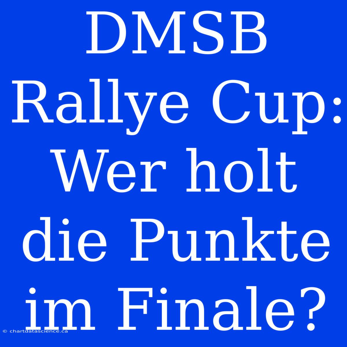 DMSB Rallye Cup: Wer Holt Die Punkte Im Finale?