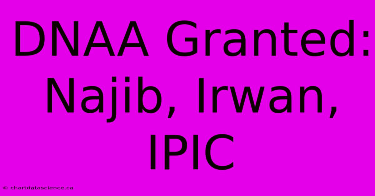 DNAA Granted: Najib, Irwan, IPIC