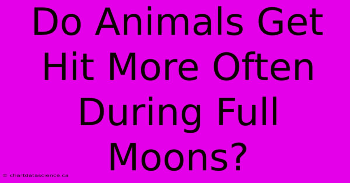 Do Animals Get Hit More Often During Full Moons?