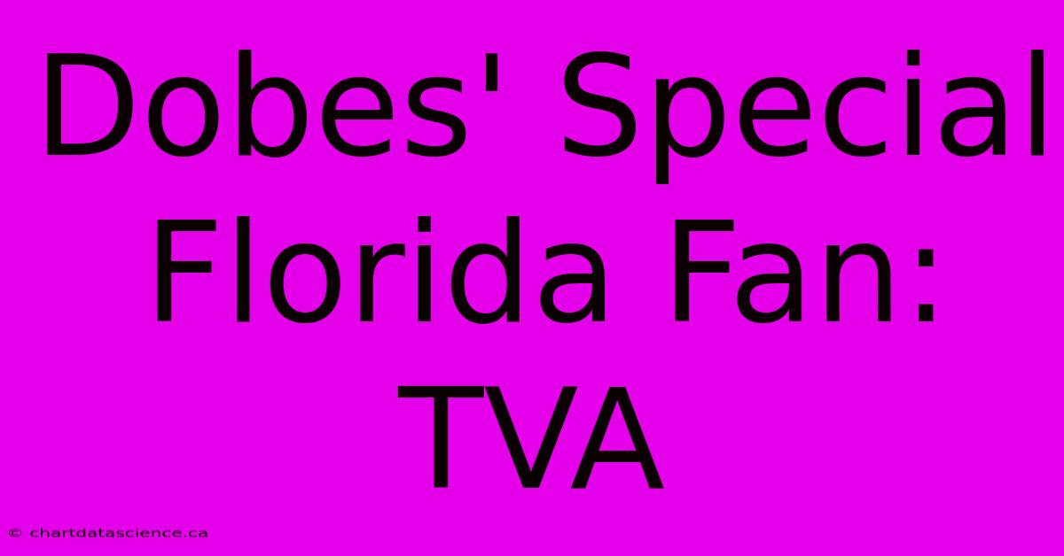 Dobes' Special Florida Fan: TVA