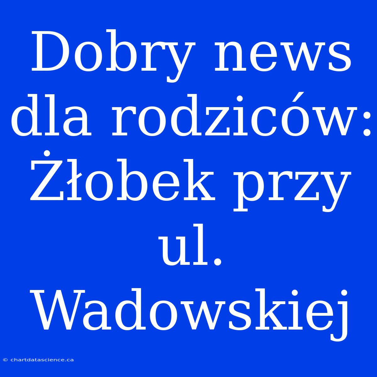 Dobry News Dla Rodziców: Żłobek Przy Ul. Wadowskiej