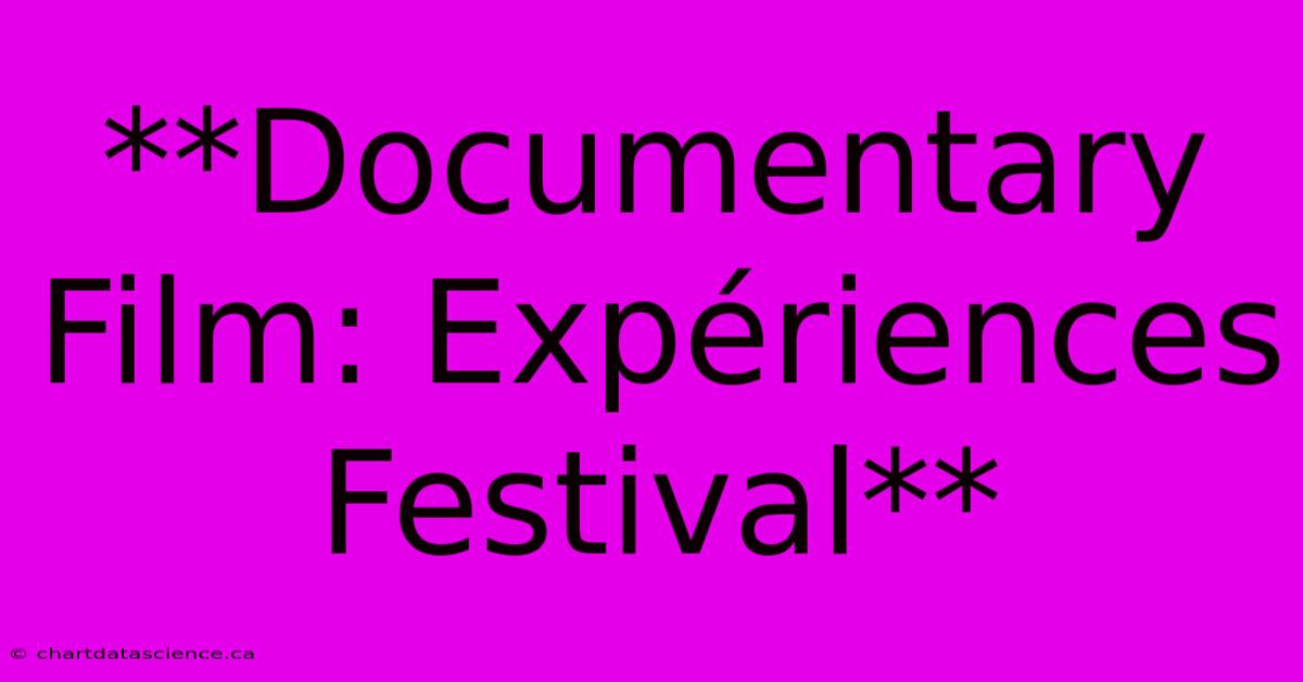 **Documentary Film: Expériences Festival**