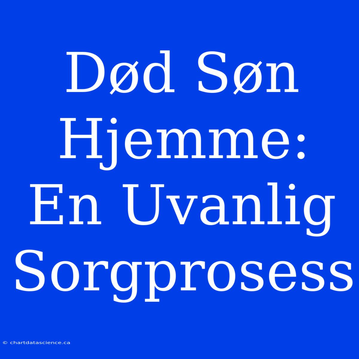 Død Søn Hjemme: En Uvanlig Sorgprosess