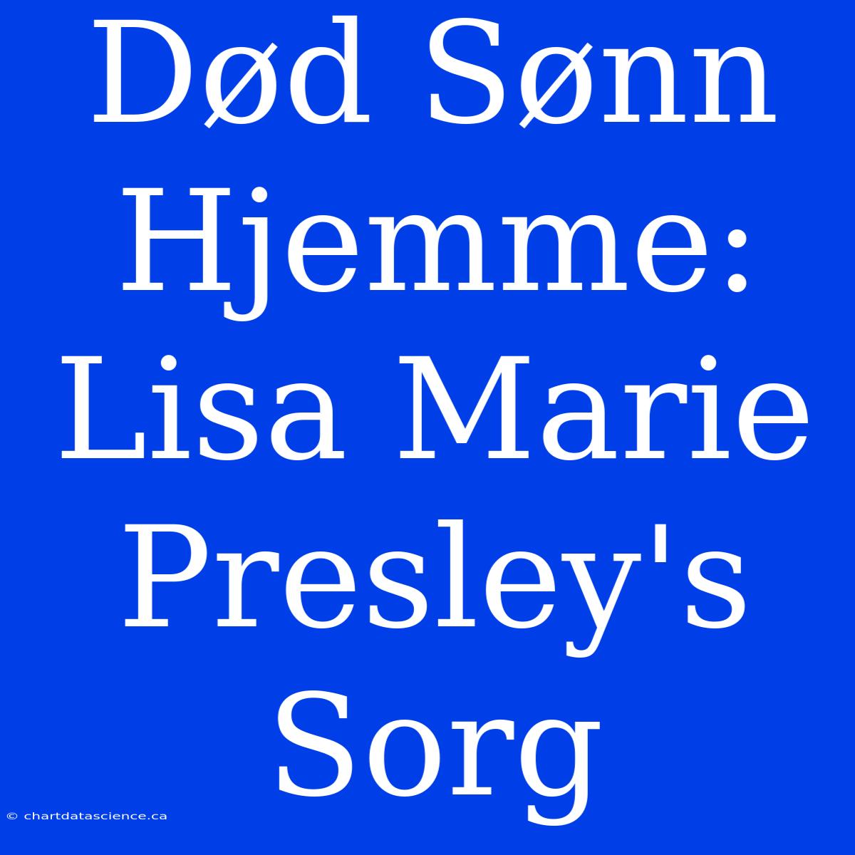 Død Sønn Hjemme: Lisa Marie Presley's Sorg