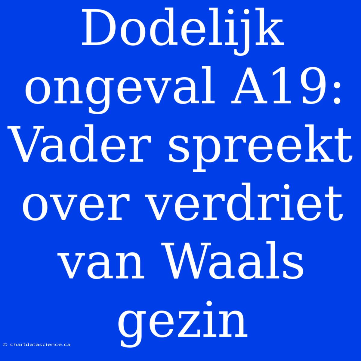 Dodelijk Ongeval A19: Vader Spreekt Over Verdriet Van Waals Gezin