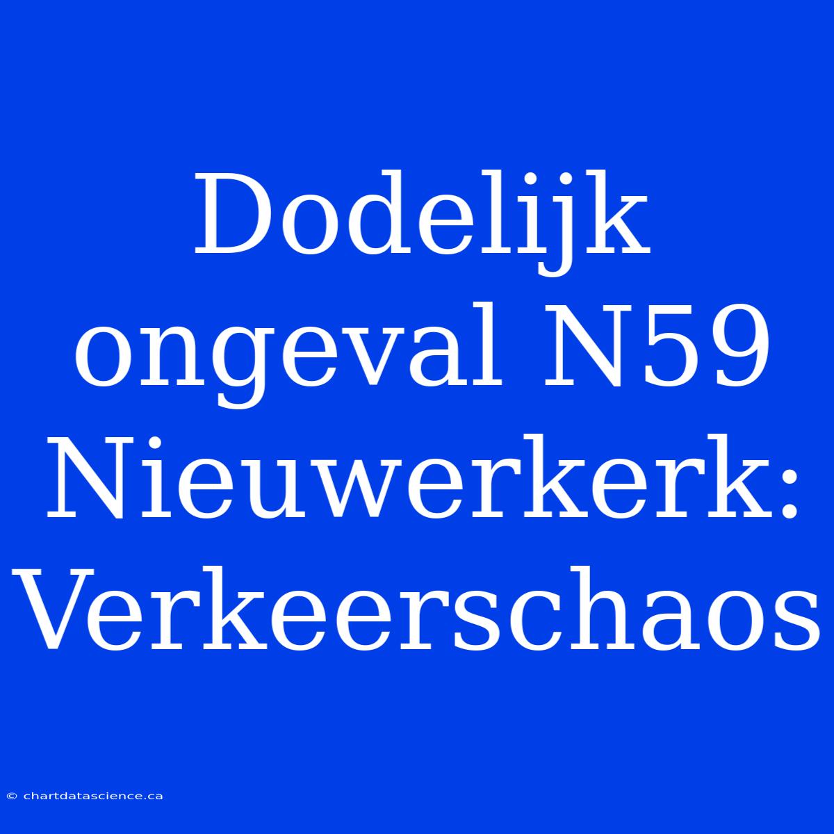 Dodelijk Ongeval N59 Nieuwerkerk: Verkeerschaos