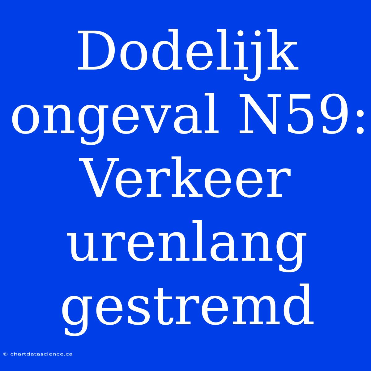 Dodelijk Ongeval N59: Verkeer Urenlang Gestremd