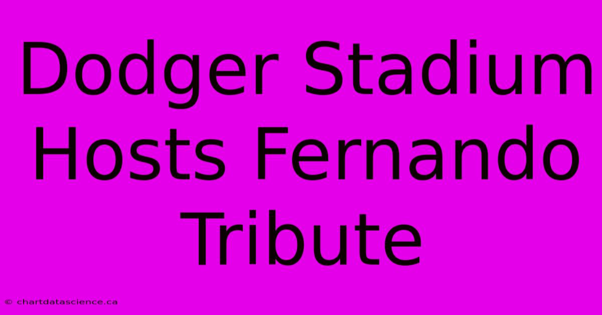 Dodger Stadium Hosts Fernando Tribute