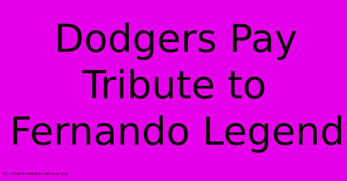 Dodgers Pay Tribute To Fernando Legend