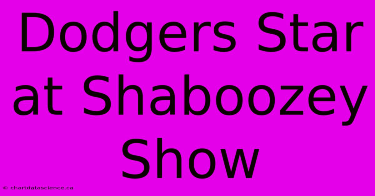 Dodgers Star At Shaboozey Show