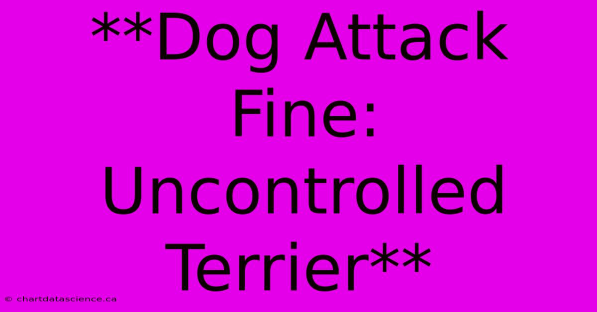 **Dog Attack Fine: Uncontrolled Terrier**